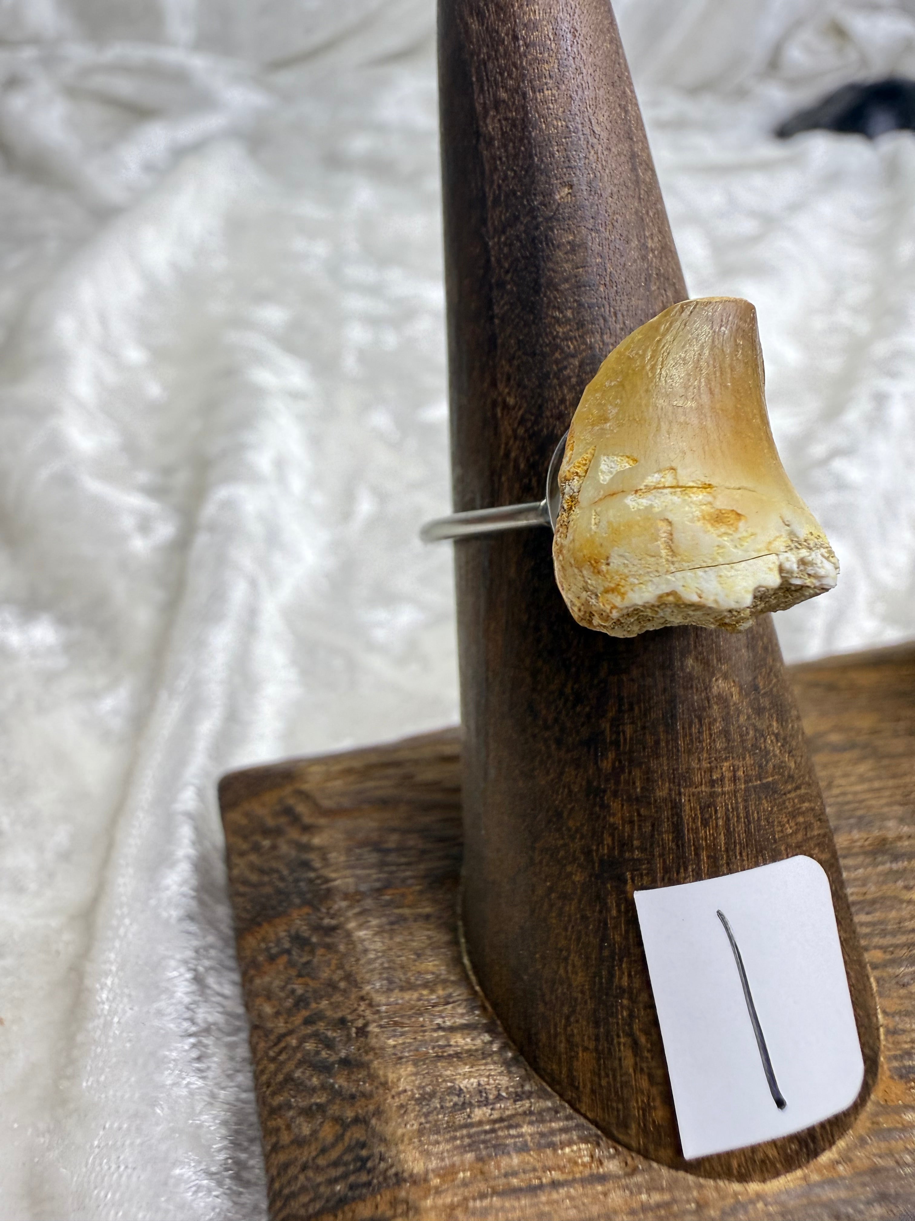 One-of-a-Kind Raw Fossilized Shark Tooth Ring #1 | Handmade Adjustable Hypoallergenic Crystal Jewelry