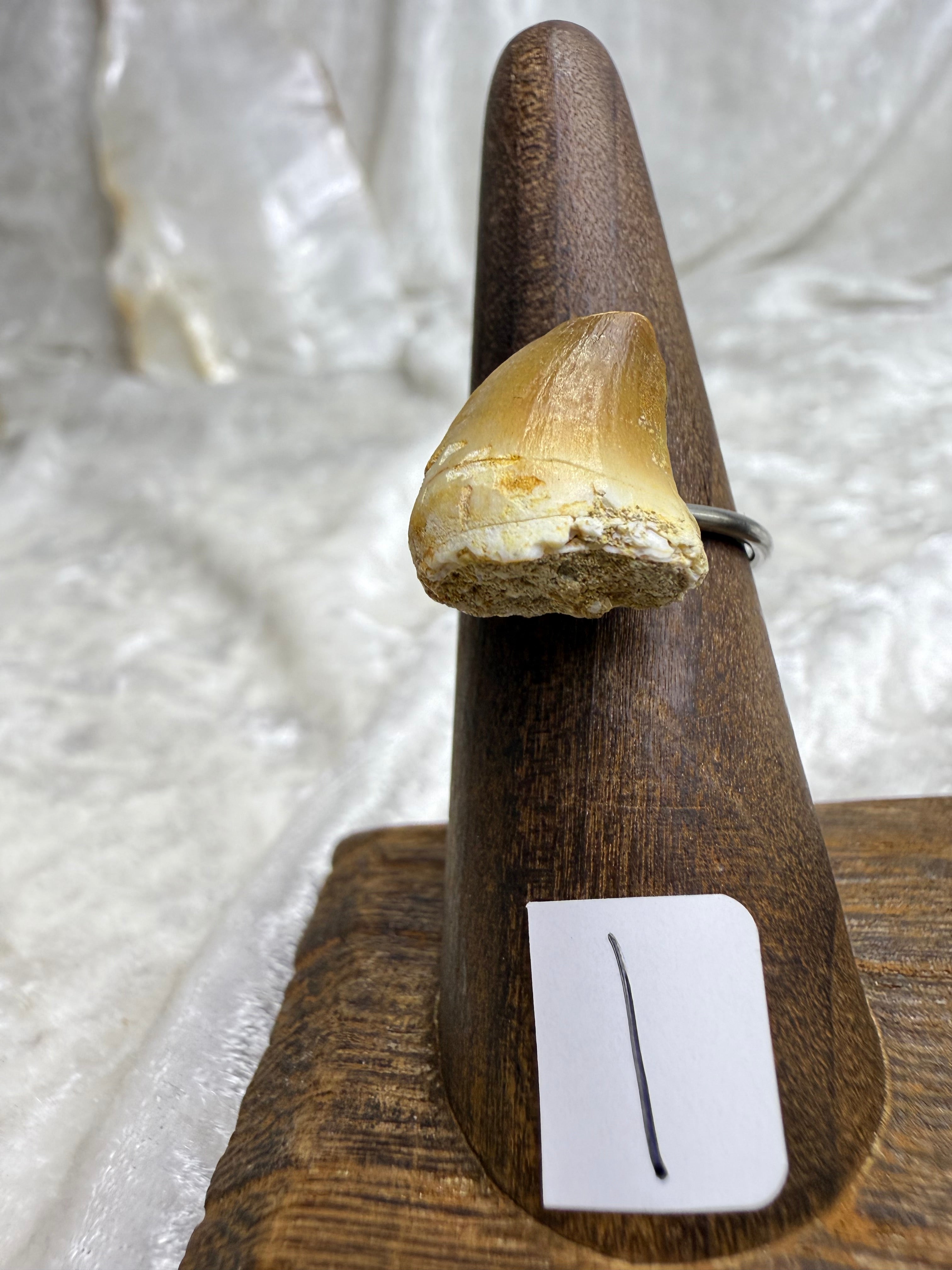 One-of-a-Kind Raw Fossilized Shark Tooth Ring #1 | Handmade Adjustable Hypoallergenic Crystal Jewelry