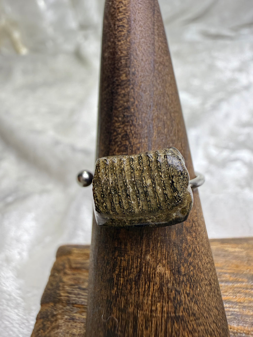 One-of-a-Kind Raw Fossilized Stingray Tooth Ring #1 | Handmade Adjustable Hypoallergenic Crystal Jewelry