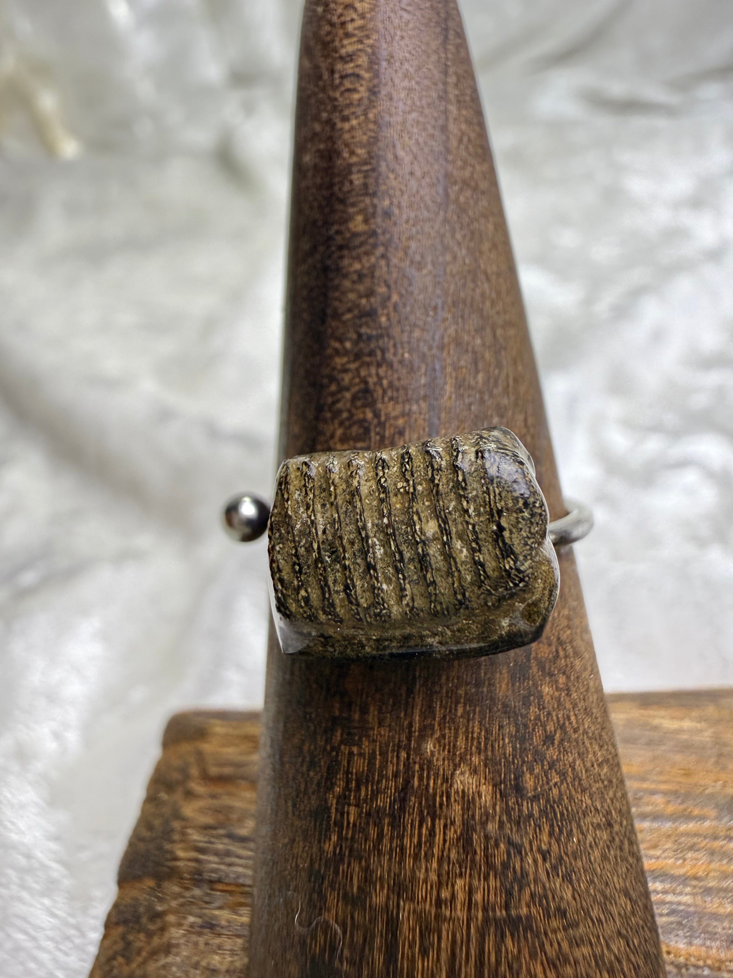 One-of-a-Kind Raw Fossilized Stingray Tooth Ring #1 | Handmade Adjustable Hypoallergenic Crystal Jewelry