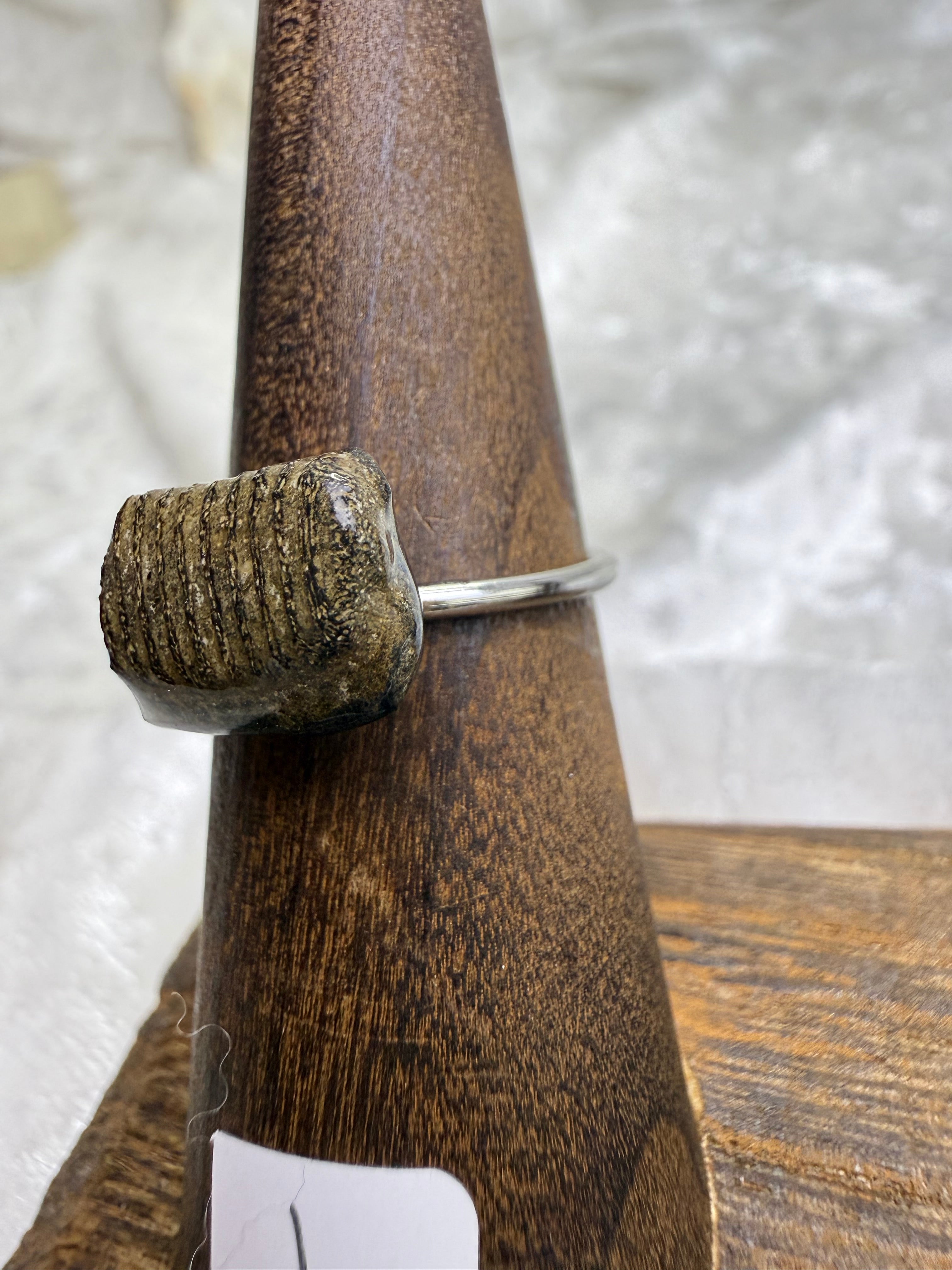 One-of-a-Kind Raw Fossilized Stingray Tooth Ring #1 | Handmade Adjustable Hypoallergenic Crystal Jewelry