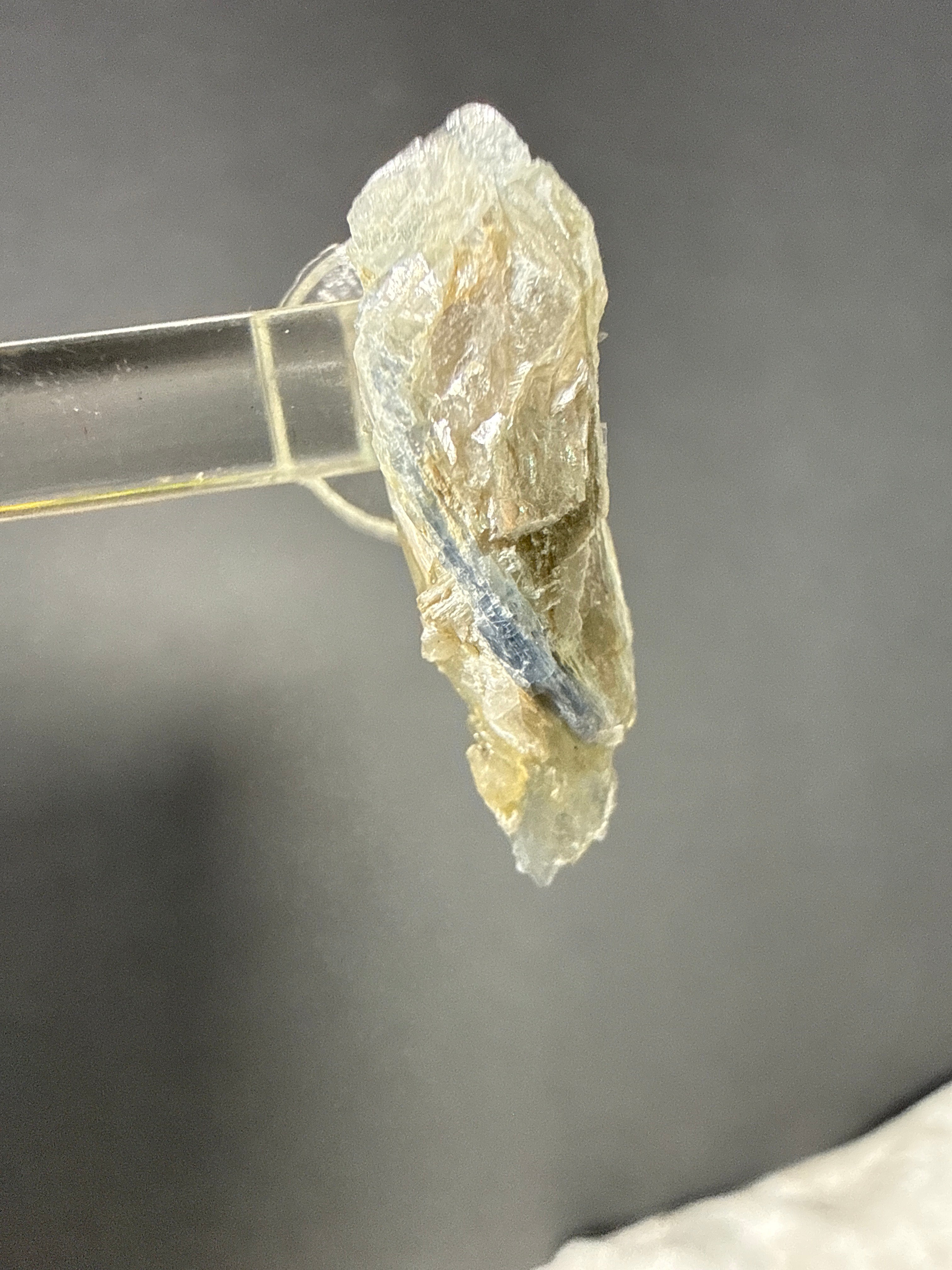 Raw Kyanite Crystal Earrings
