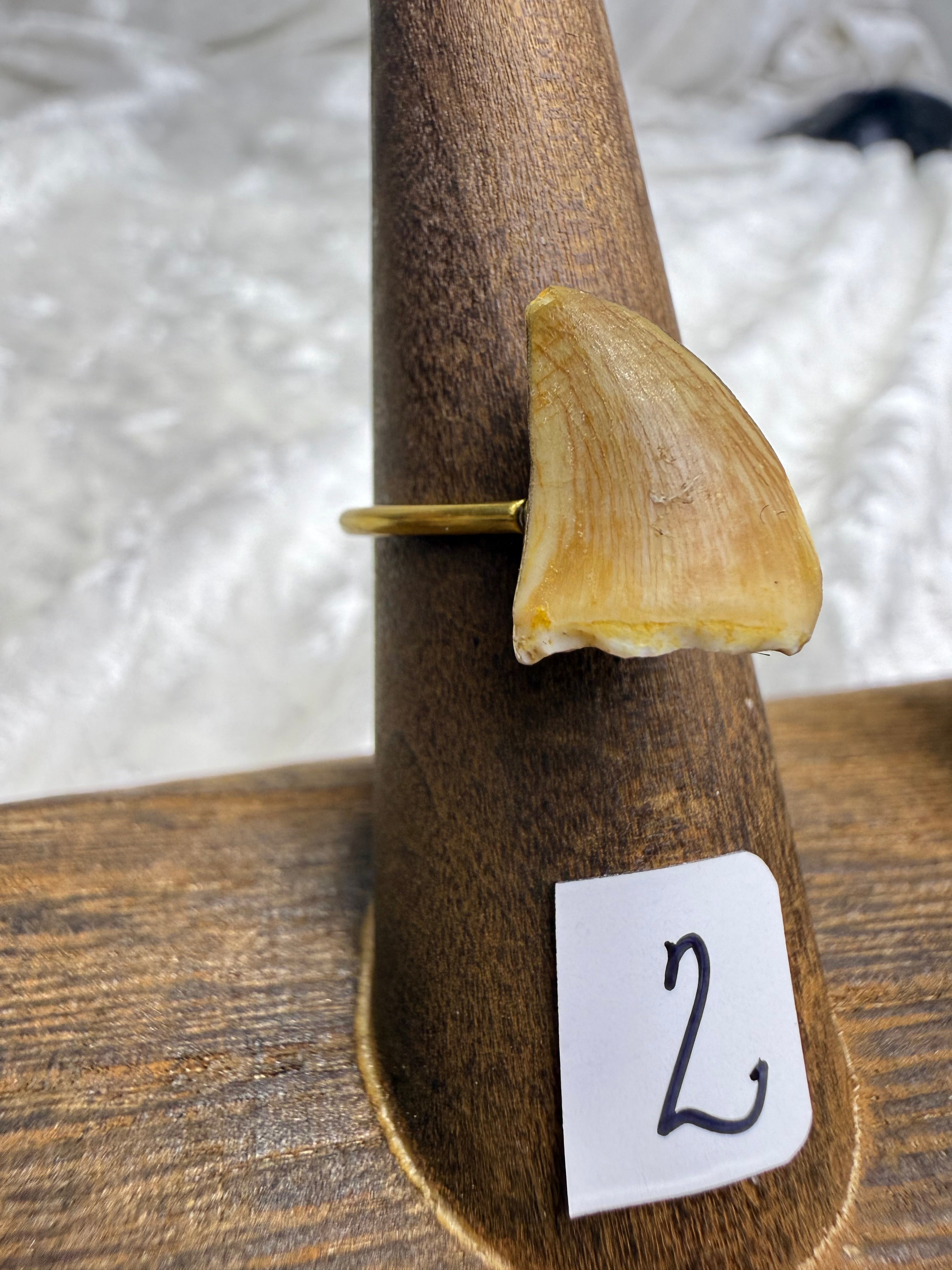 One-of-a-Kind Raw Fossilized Shark Tooth Ring #2 | Handmade Adjustable Hypoallergenic Crystal Jewelry