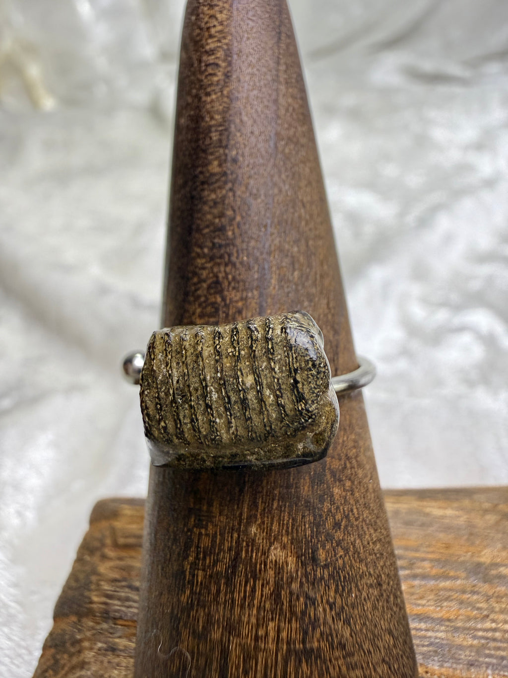 One-of-a-Kind Raw Fossilized Stingray Tooth Ring #1 | Handmade Adjustable Hypoallergenic Crystal Jewelry