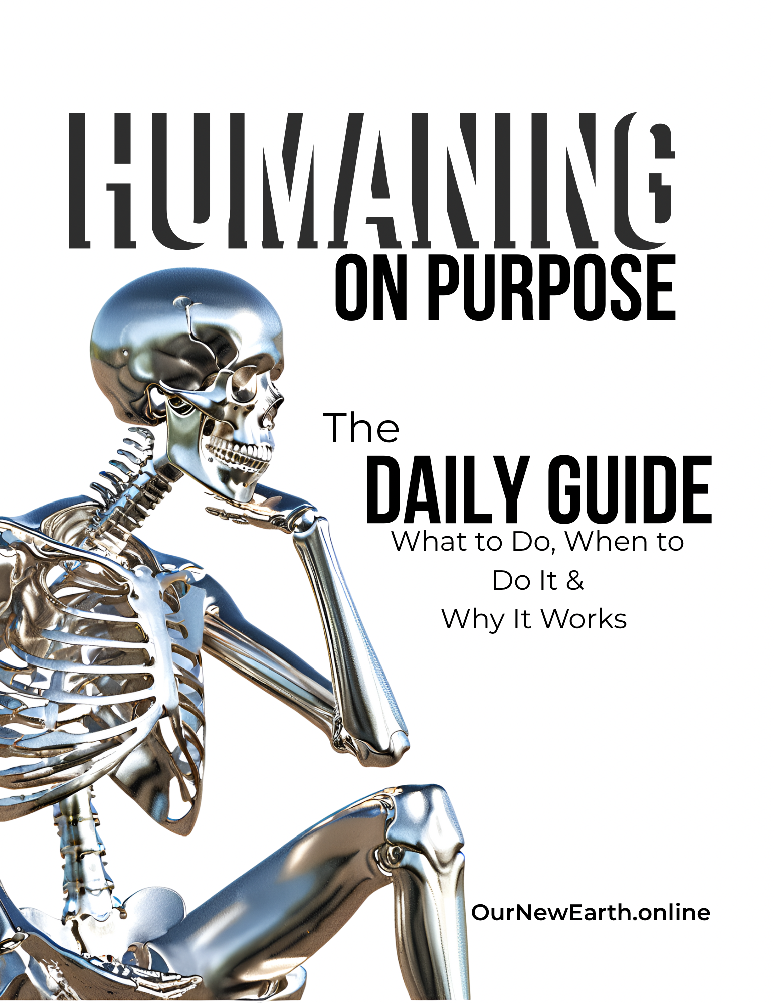 The Daily Guide: What to Do, When to Do It & Why It Matters