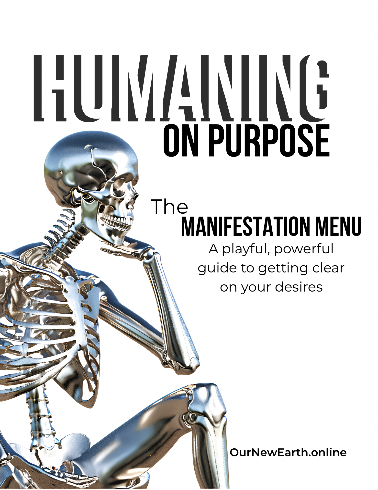 The Manifestation Menu: A playful, powerful guide to getting clear on your desires￼ ￼